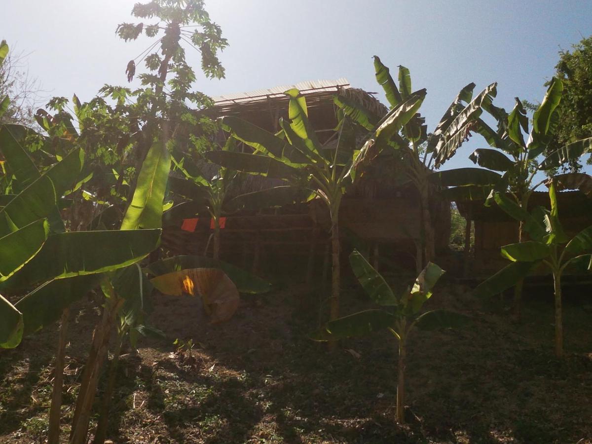 Private Beach House Maloka Surf Puerto Limon Экстерьер фото
