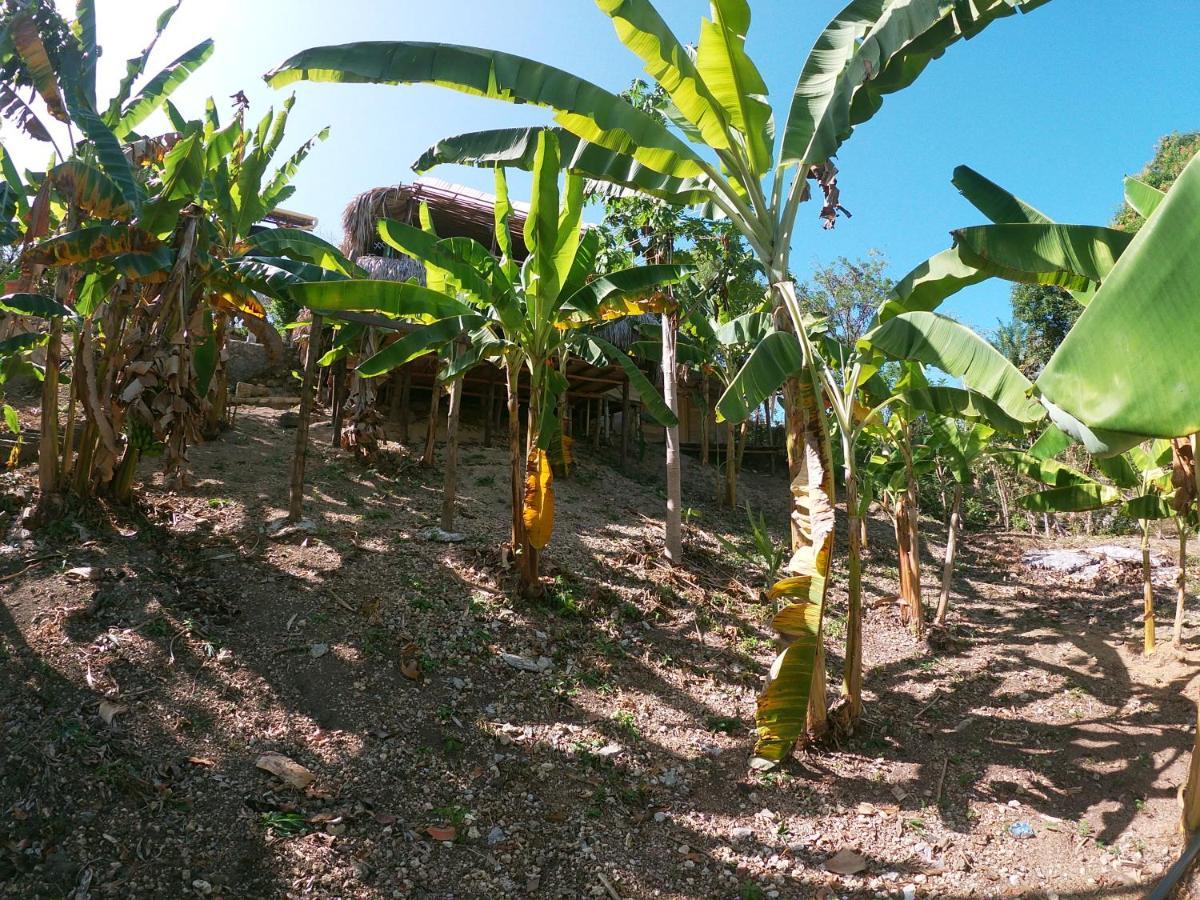 Private Beach House Maloka Surf Puerto Limon Экстерьер фото